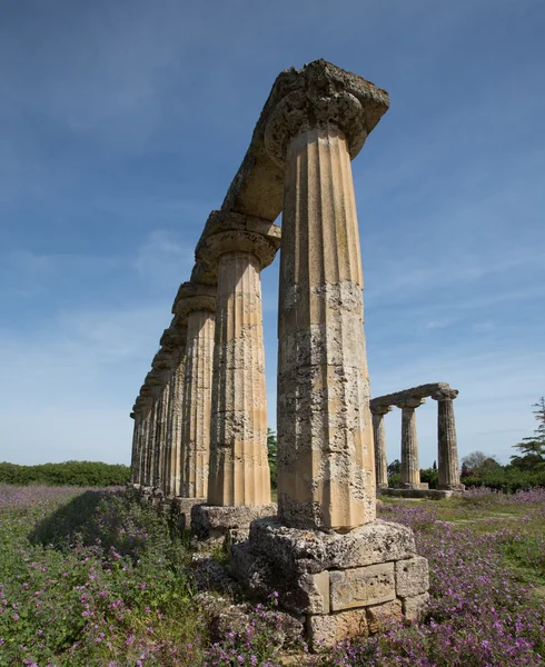 Палатинська таблиць — стокове фото