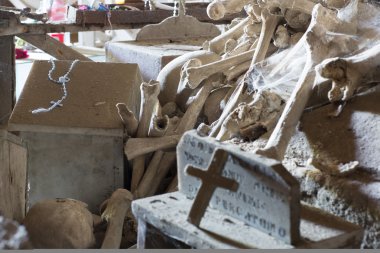 kafatasları ve kemikleri