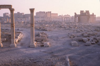 Palmyra vintage