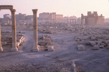 Palmyra vintage clipart