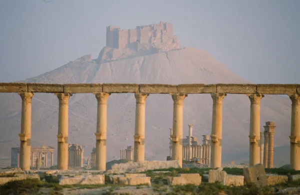 Palmyra — Stok fotoğraf