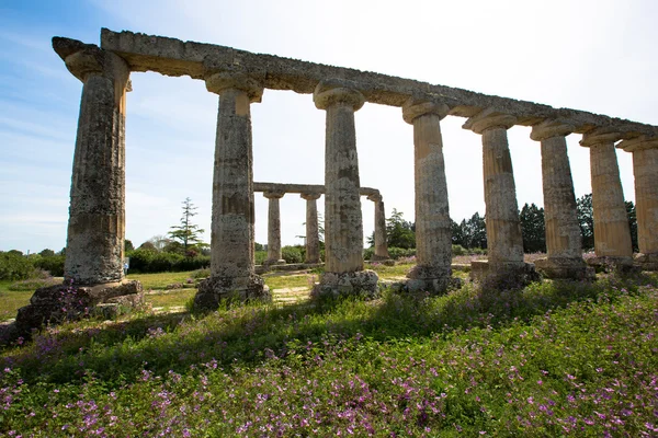 Tavole Palatine — Foto Stock