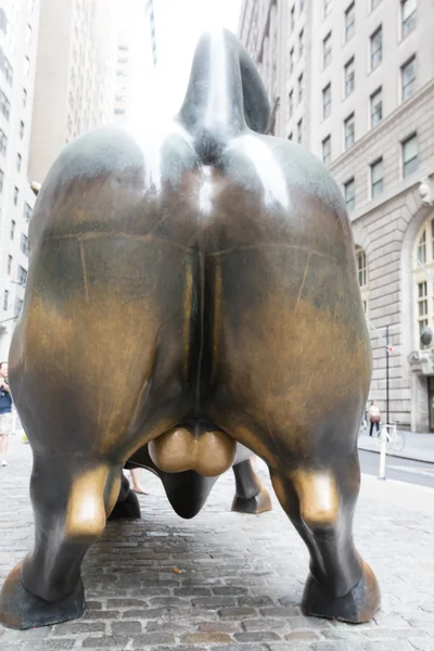 Şanslı şarj boğa