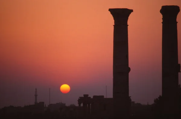 Solnedgång i palmyra — Stockfoto