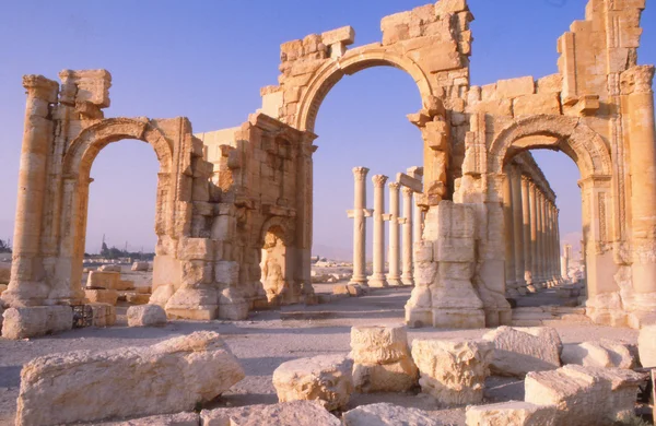 Palmyra vintage — Stockfoto