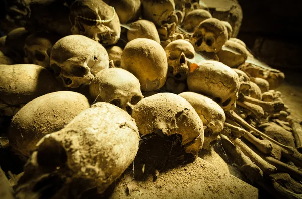 Orta yaş kafatasları