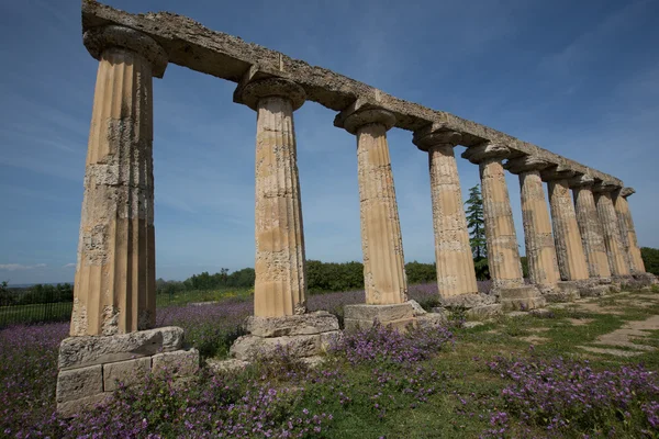 Mesas Palatinas, Itália — Fotografia de Stock