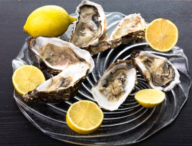 İstiridye natürmort