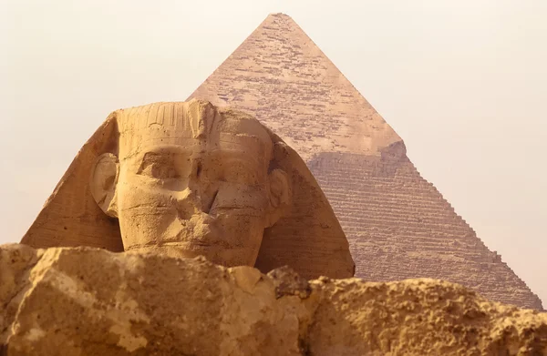 Sfinge a Giza — Foto Stock