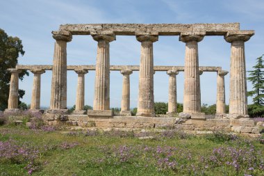 Metaponto Palatine tabloları