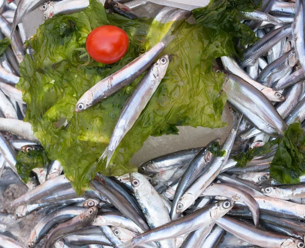 Anchovies in market — Stock Photo, Image