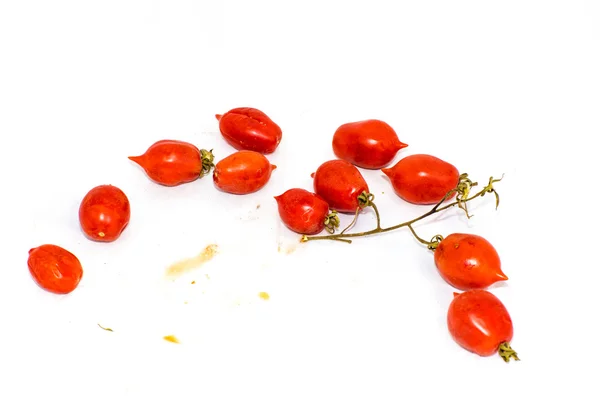 Tomates de Vesúvio — Fotografia de Stock