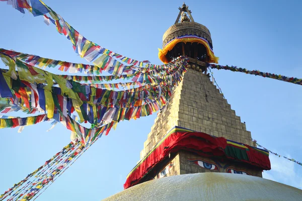 Buddha Tapınağı Kathmandu