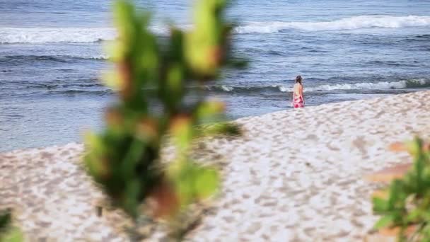 Ondas na costa oceânica — Vídeo de Stock