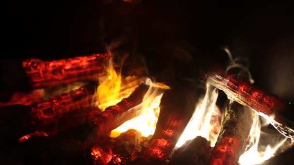 Cheminée Feu gros plan — Video