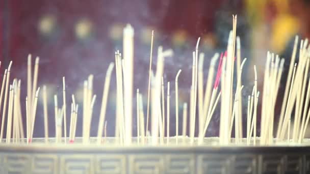 Praying incense in  temple — Stock Video