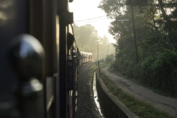 Tropikal tren