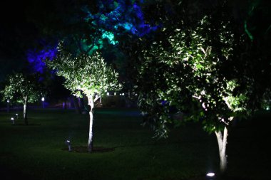   Türkiye Antalya Oteli Dinlenme Deniz plaj yatakları gece ağaçları