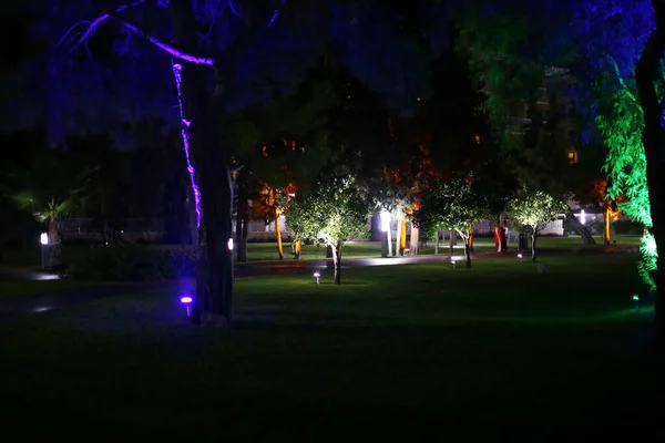 Turchia Antalya Hotel Riposo Mare Spiaggia Alberi Notte — Foto Stock