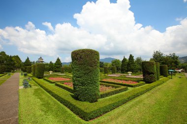 Mükemmel kenarlı Bahçe