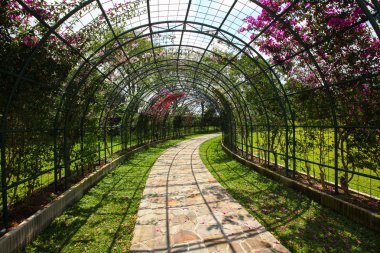 Mükemmel kenarlı Bahçe