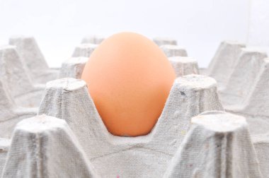 Karton kutuda tavuk yumurtası