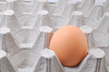 Karton kutuda tavuk yumurtası