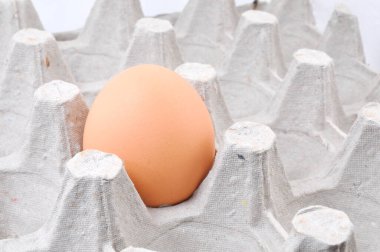 Karton kutuda tavuk yumurtası