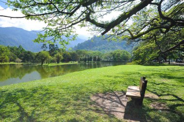 Parkta gölü olan güzel bir manzara.