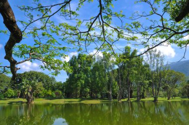 Parkın güzel manzarası