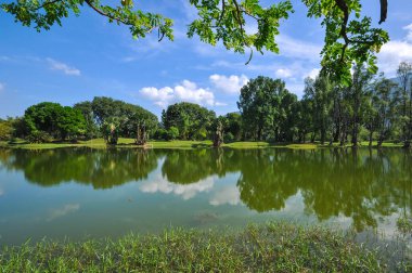 Parkın güzel manzarası