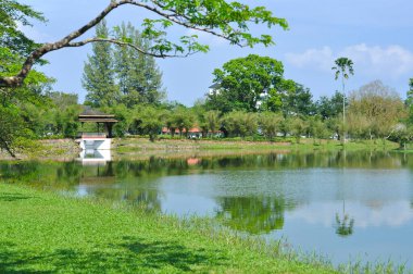 Parkın güzel manzarası