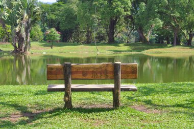 Parkta gölü olan güzel bir manzara.