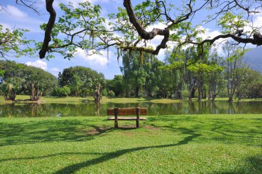 Parkta gölü olan güzel bir manzara.