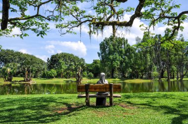 Parkta gölü olan güzel bir manzara.