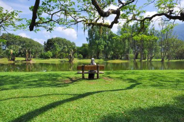 Parkta gölü olan güzel bir manzara.