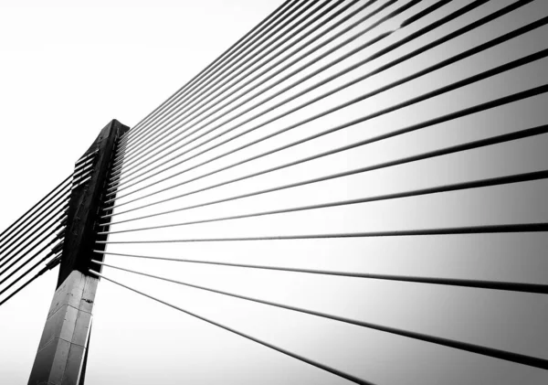 Modern Bridge Architecture Putrajaya Black White — Stock Photo, Image