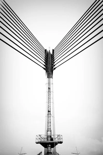 Modern Bridge Architecture Putrajaya Black White — Stock Photo, Image