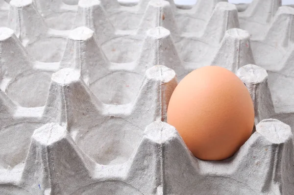 Huevo Gallina Una Caja Cartón —  Fotos de Stock