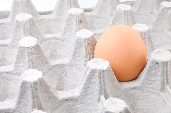 Huevo Gallina Una Caja Cartón Sobre Fondo Blanco —  Fotos de Stock