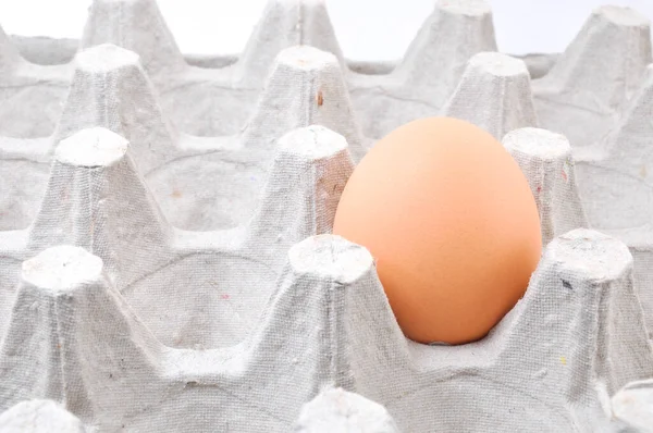 Karton kutuda tavuk yumurtası
