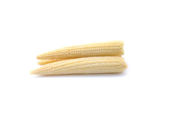 Fresh Corn Isolated White Background — Stock Photo, Image