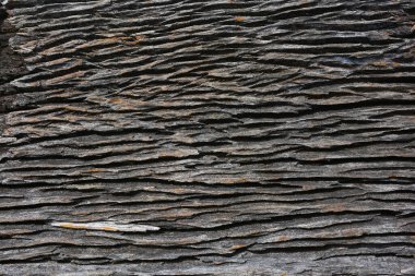 Soyut Paslı ahşap arkaplan