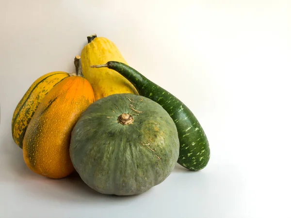 Assortment of squashes (crookneck, kabocha, spaghetti, delicata, orangetti squashes) with copy space on an isolated white background