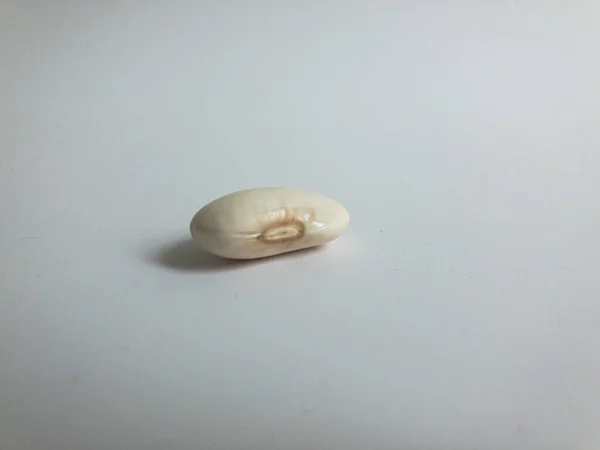 Beyaz arka planda ıslak fasulye.