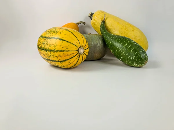 Assortment of squashes (crookneck, kabocha, spaghetti, delicata, orangetti squashes) with copy space on an isolated white background
