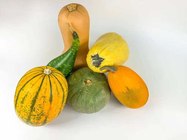 Assortment of squashes (crookneck, kabocha, spaghetti, delicata, butternut, orangetti squashes) on an isolated white background