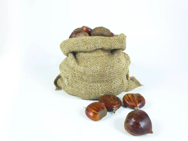 Çuval içinde bir yığın taze kestane. Fotokopi alanı olan beyaz izole bir arka plan. Noel için çiğ kestane. Ön görünüm.