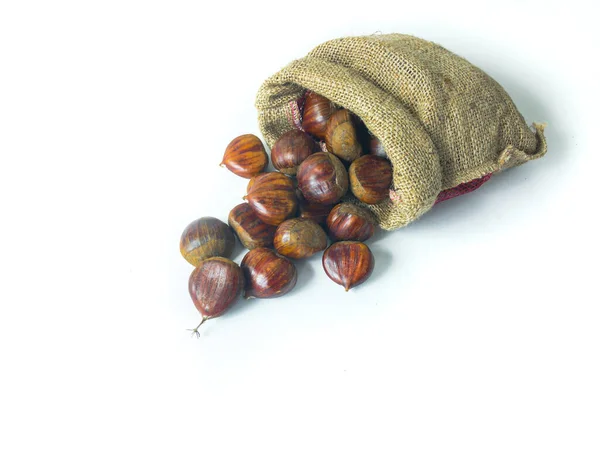 Çuval içinde bir yığın taze kestane. Fotokopi alanı olan beyaz izole bir arka plan. Noel için çiğ kestane. Üst görünüm.