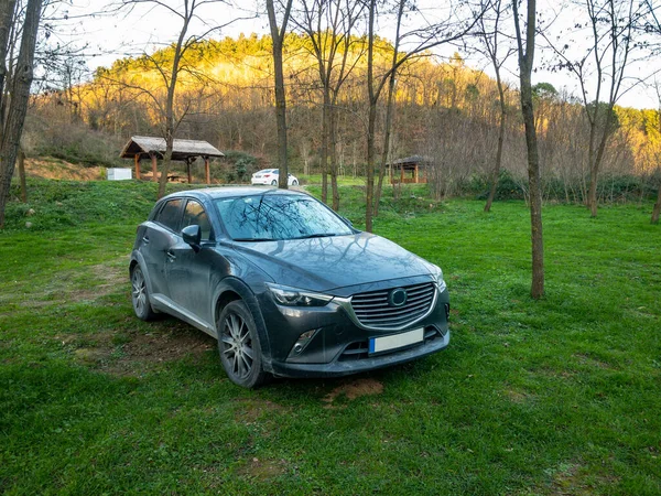 Ormanda piknik için arabalar.